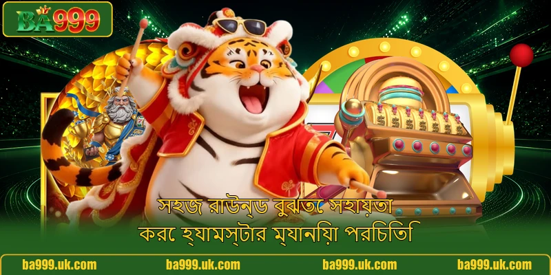 সহজ রাউন্ড বুঝতে সহায়তা করে হ্যামস্টার ম্যানিয়া পরিচিতি