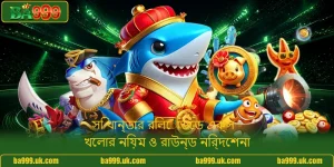 সি থান্ডার রিলোডেড এক্স - খেলার নিয়ম ও রাউন্ড নির্দেশনা