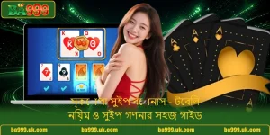 স্কোপা সুইপ বোনাস - টেবিল নিয়ম ও সুইপ গণনার সহজ গাইড